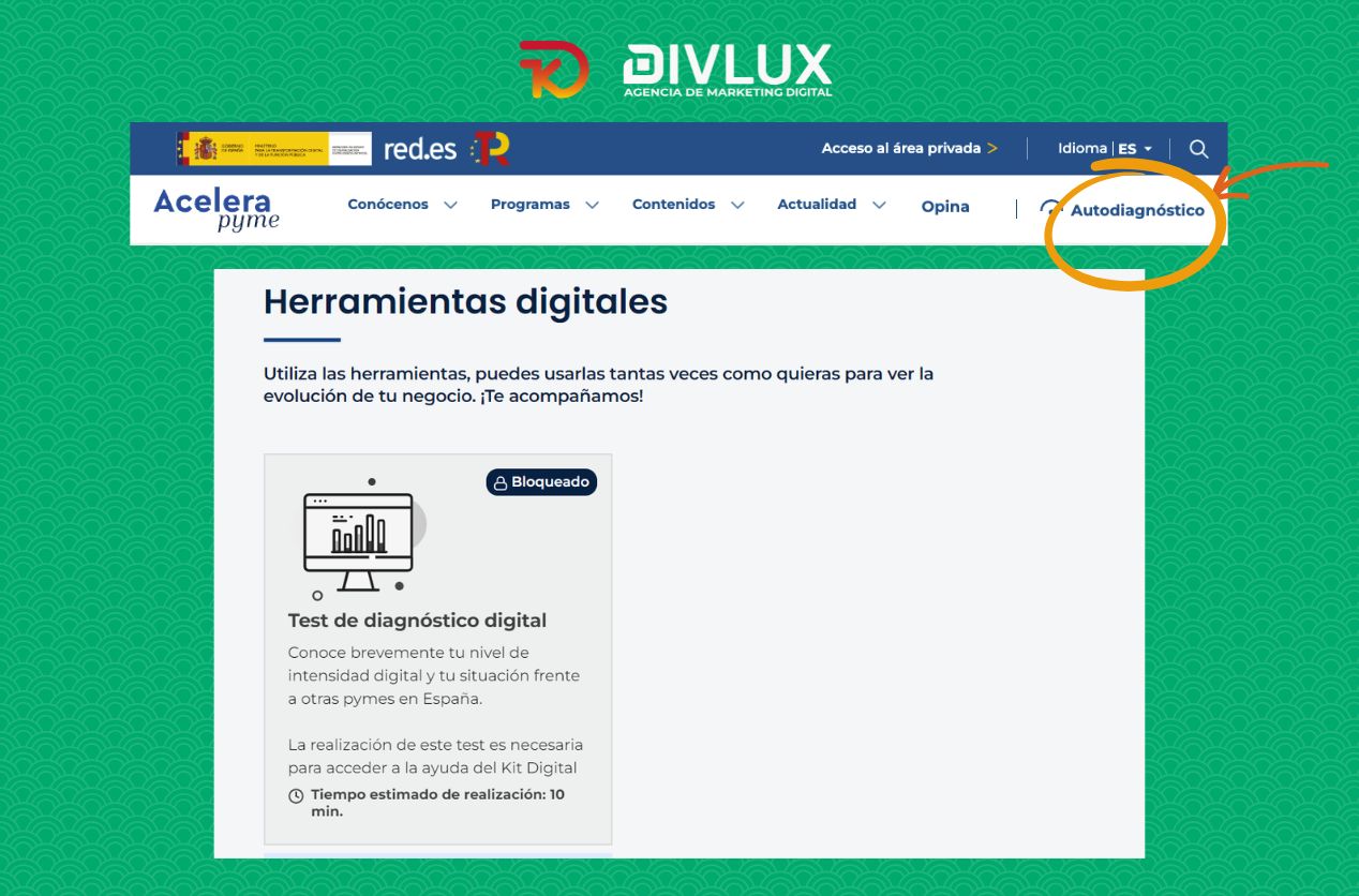 acceder al autodiagnostico
